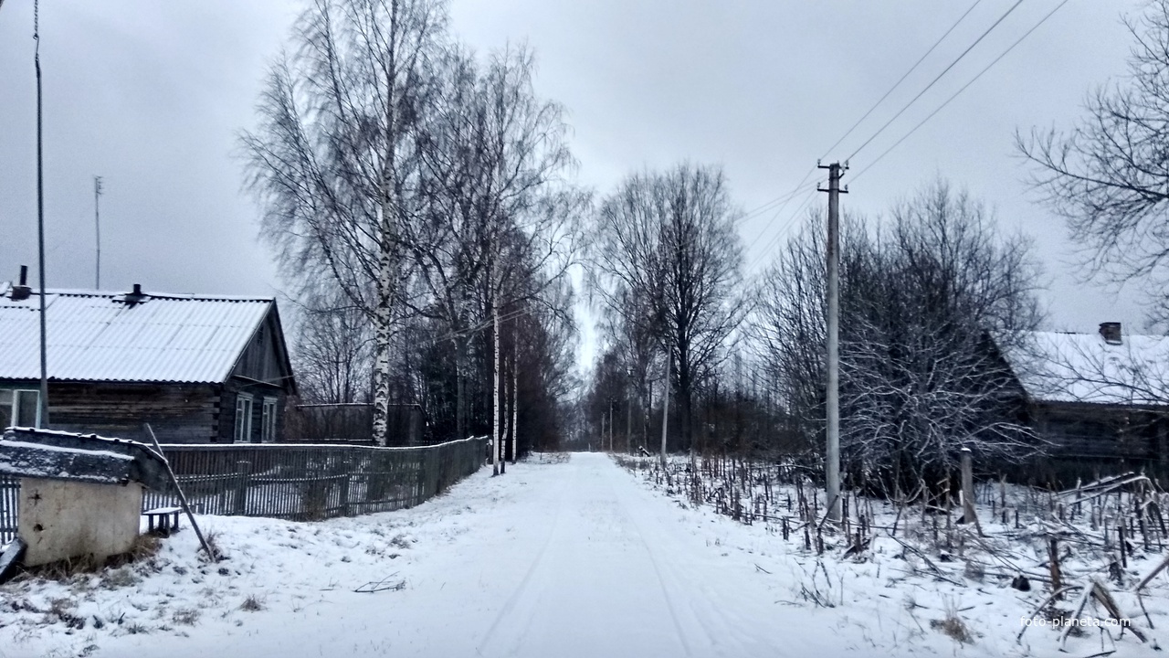 улица в д. Расторопово