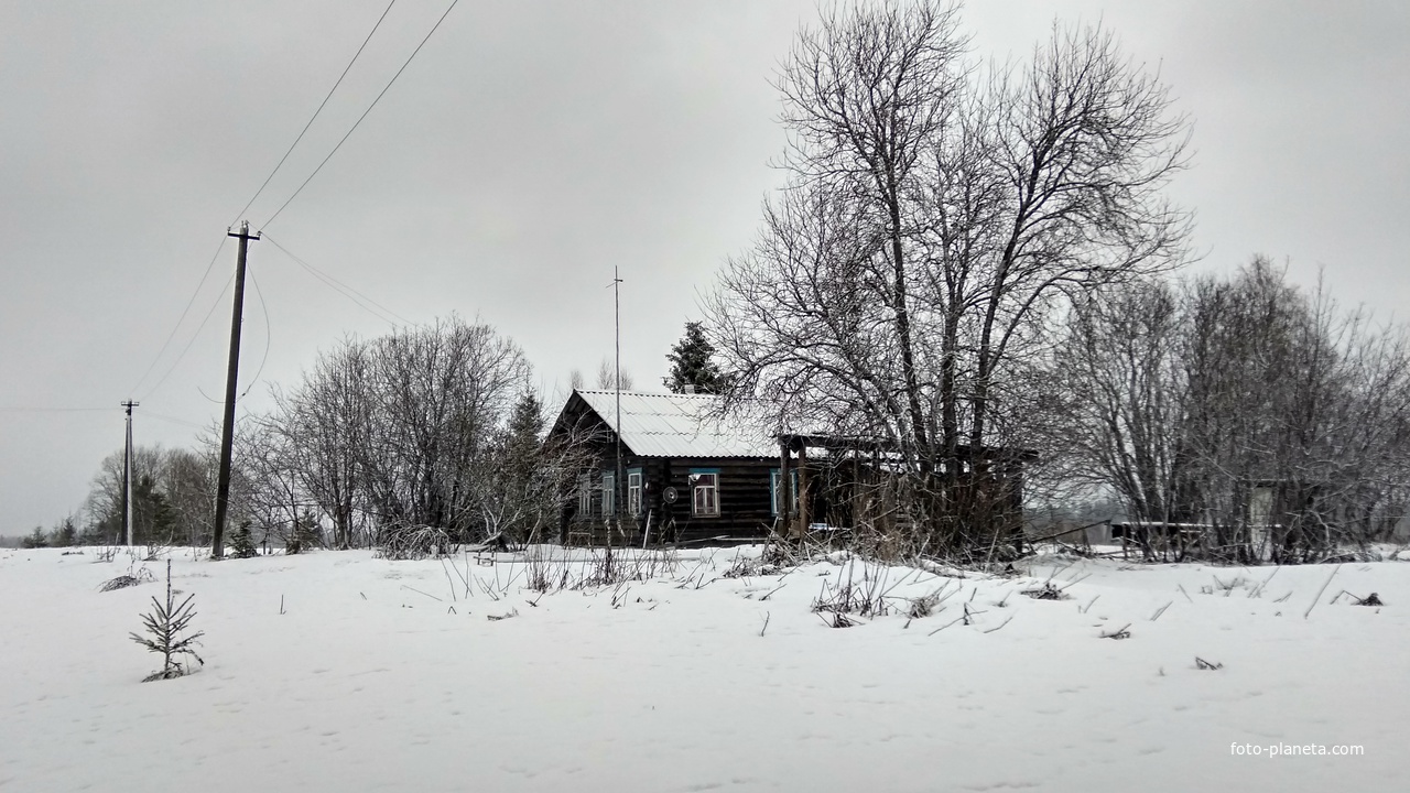 дом в деревне Концевская