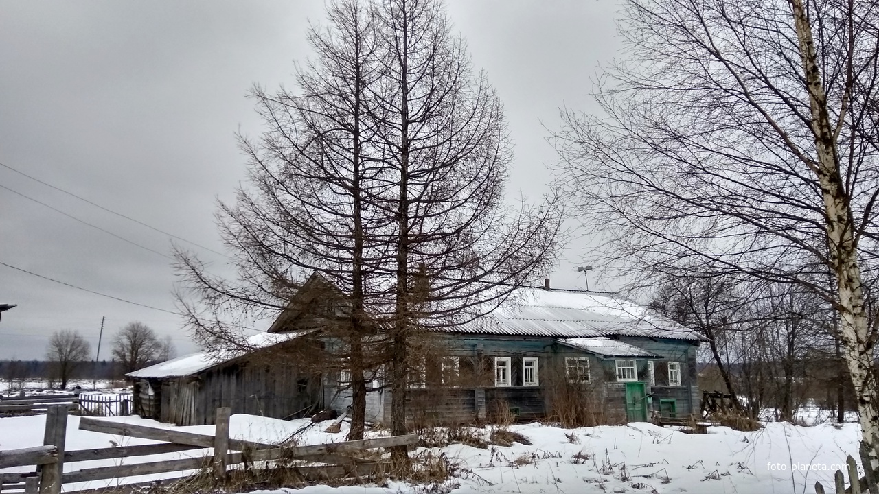 деревенский дом в д. Данилов Починок