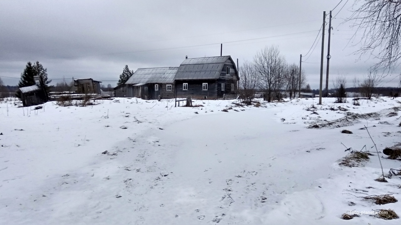 деревенский дом в д. Данилов Починок