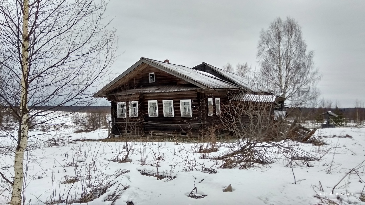 дом в д. Никитин Починок