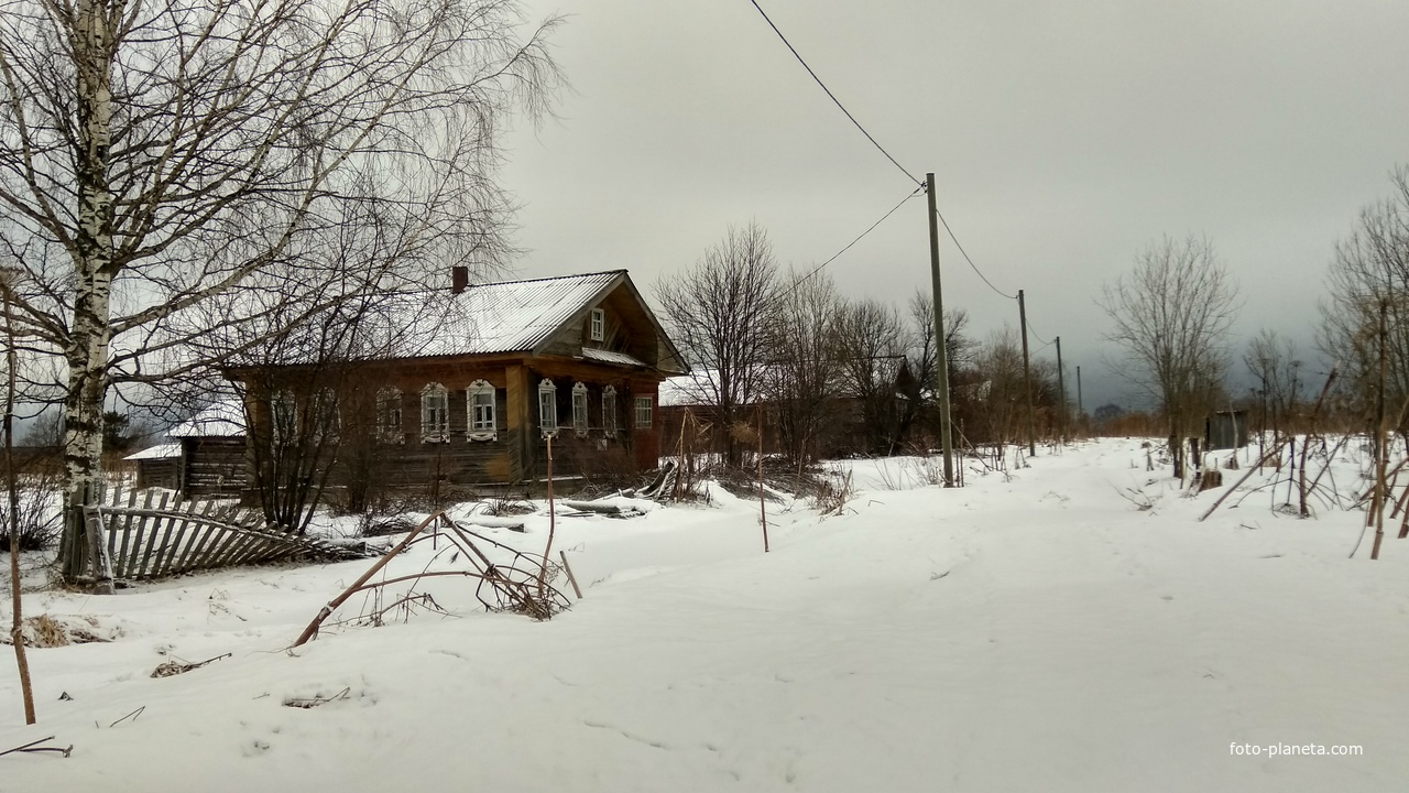 улица в заброшенной д. Холкин Конец