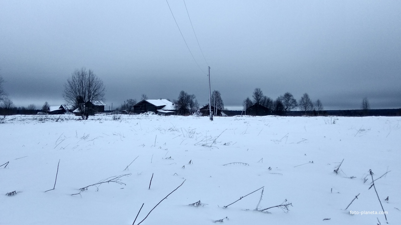 панорама д. Семеновская