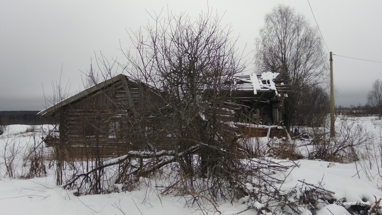 разрушенный дом в д. Семеновская