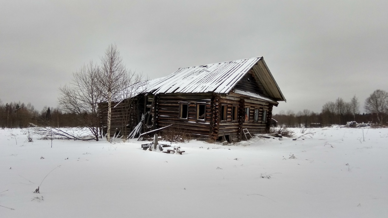 дом в д. Пахтусово