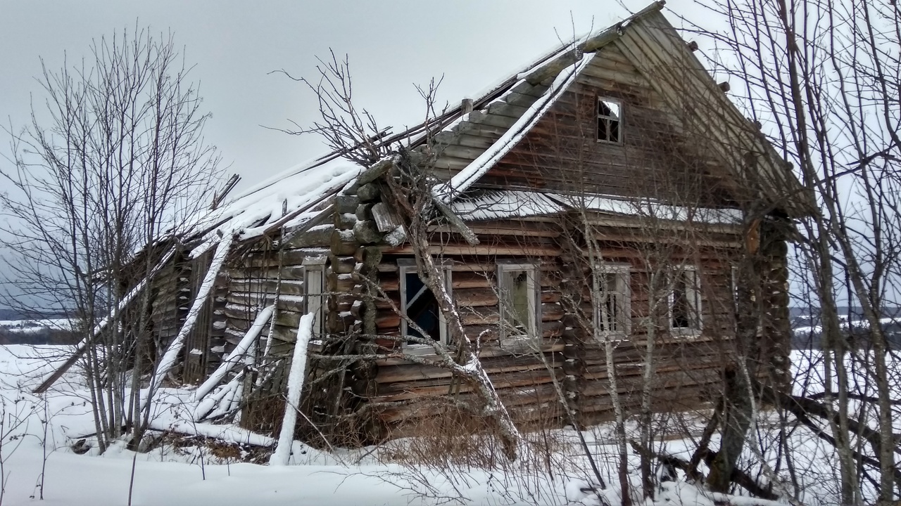 дом в д. Пахтусово