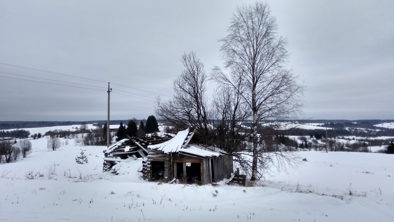 разрушенный дом в д. Шулево