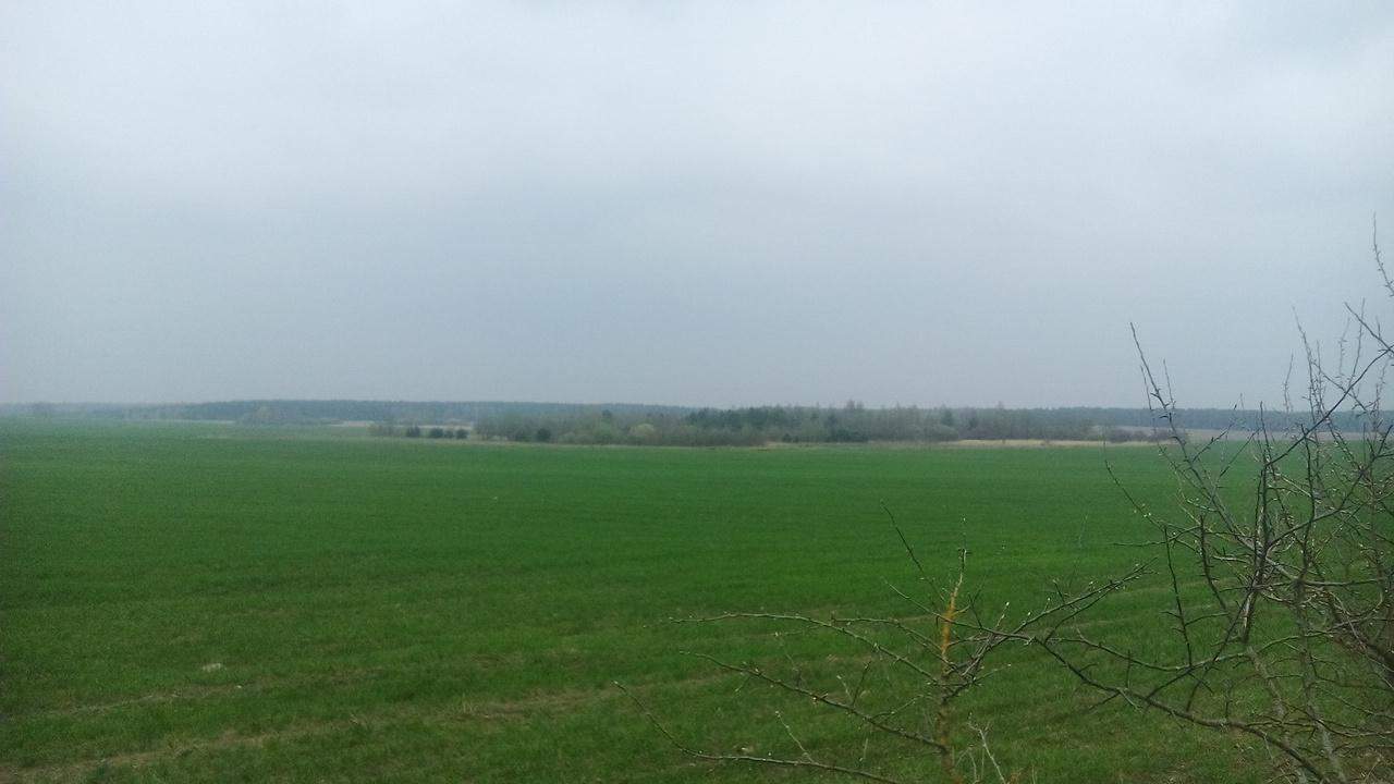 в. Студзераушчына