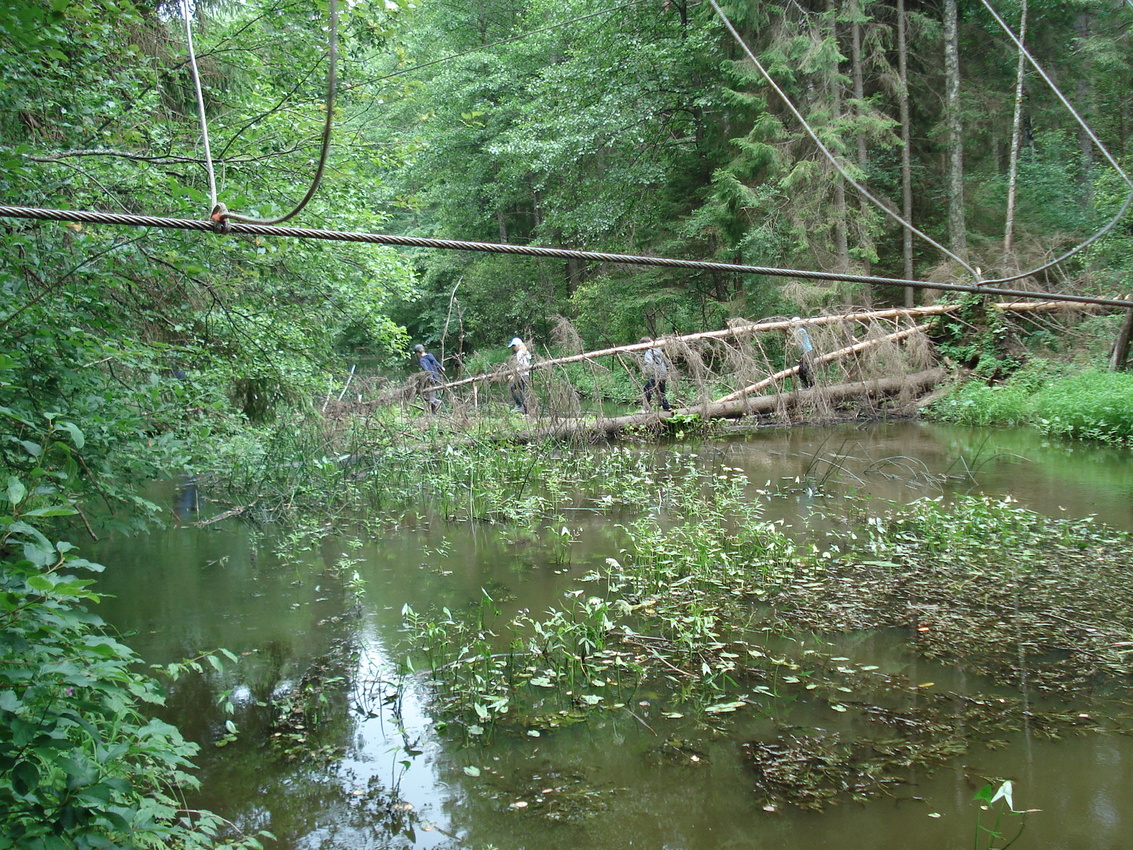 Через реку Страча можно перейти и по упавшему дереву