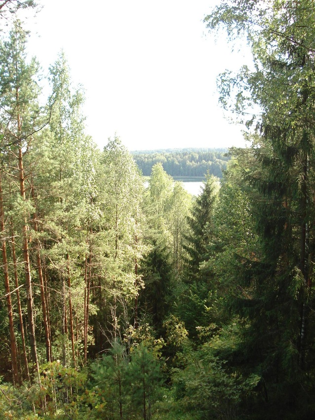 Вид со смотровой вышки на озеро Глубелька