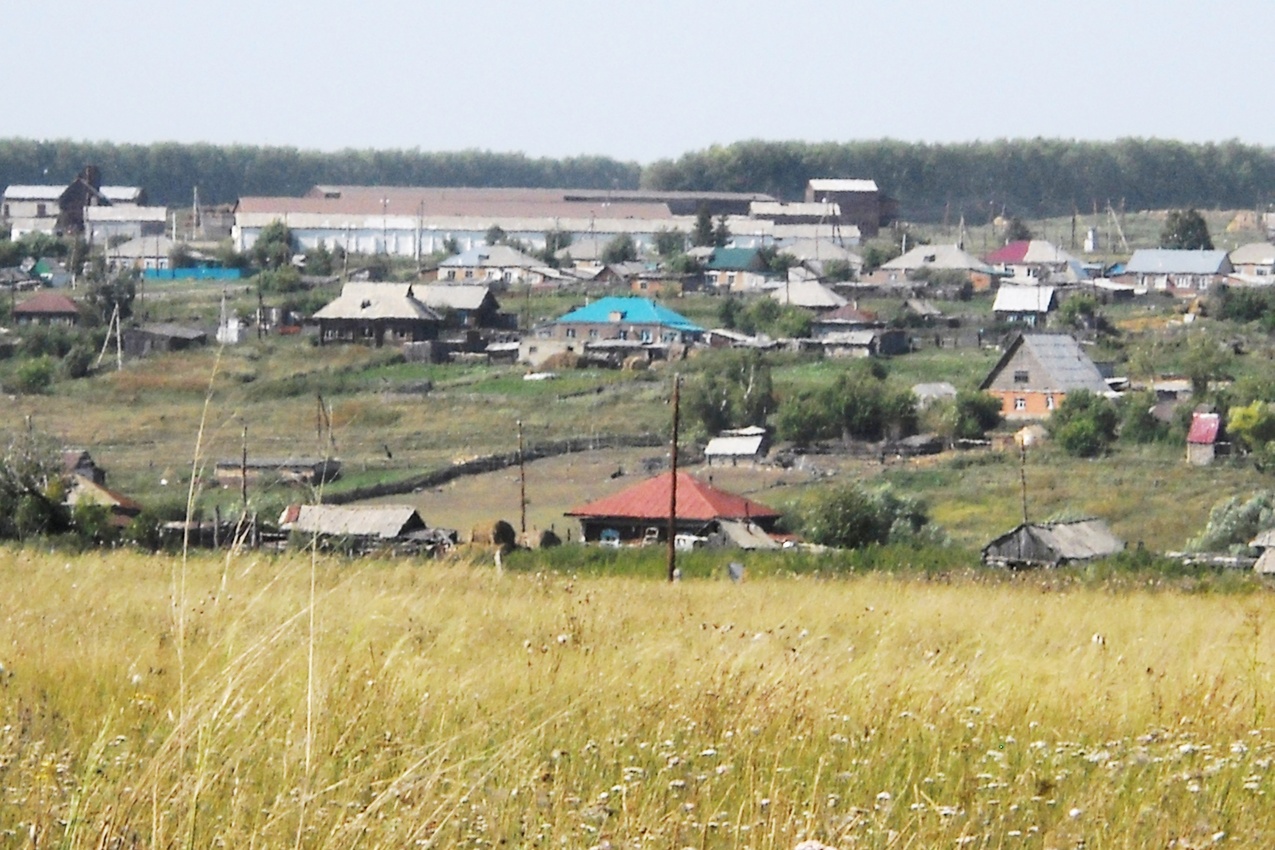 Вид села Рогалёво с юго-восточного направления.