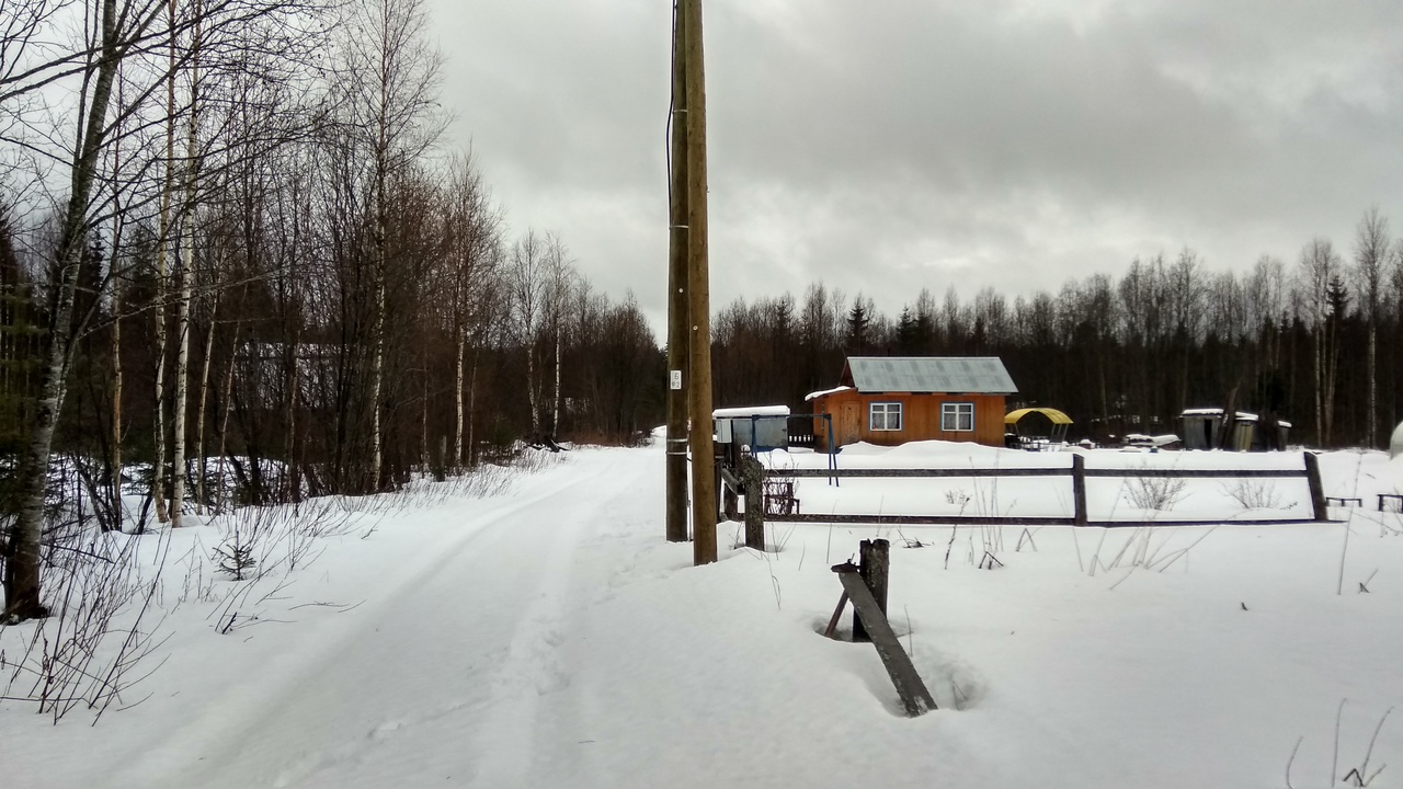 улица в дачном поселке Некрасиха