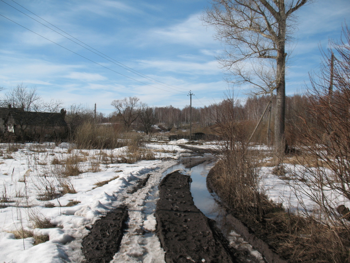 Деревня Чернодье. Дорога в деревне .Весна.2010 год