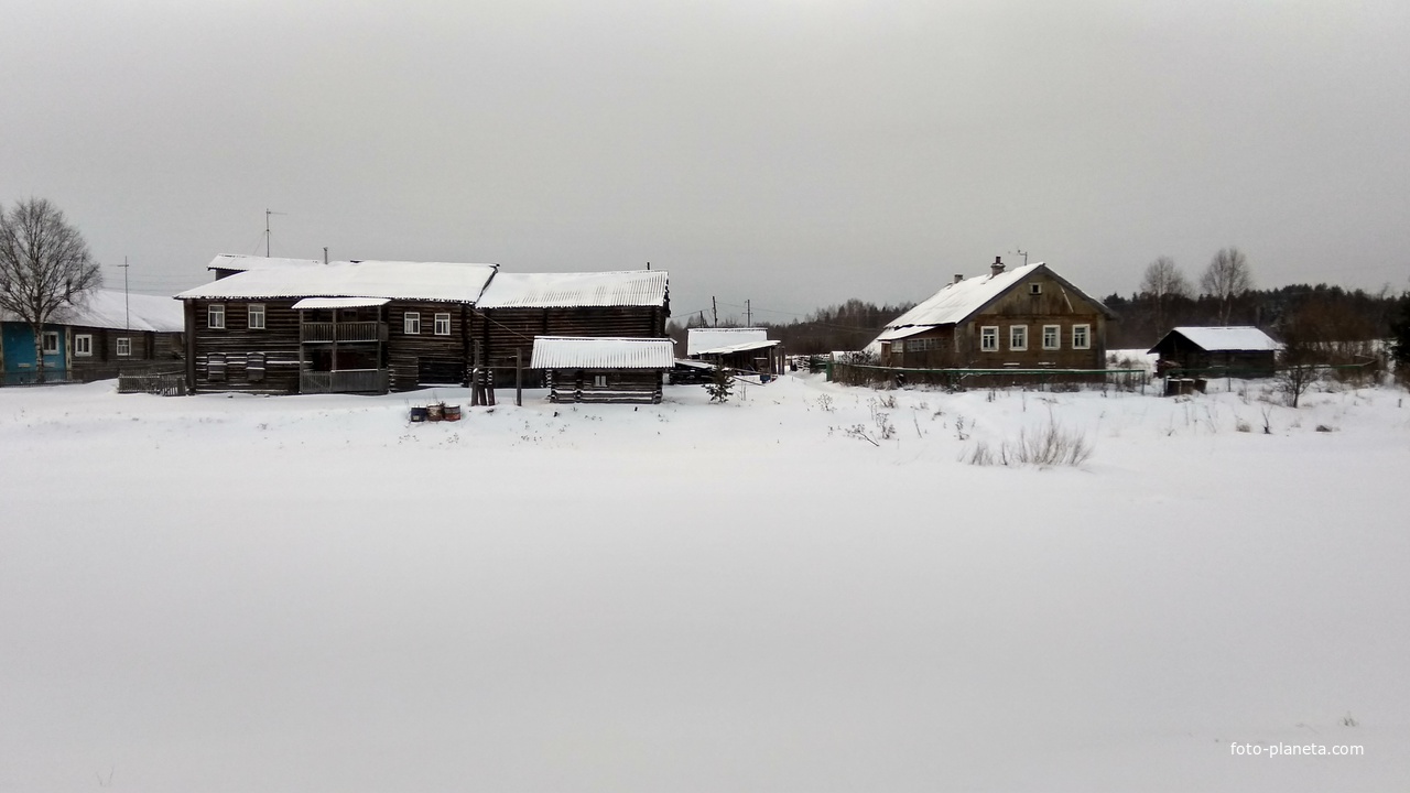 улица в д. Андреевская