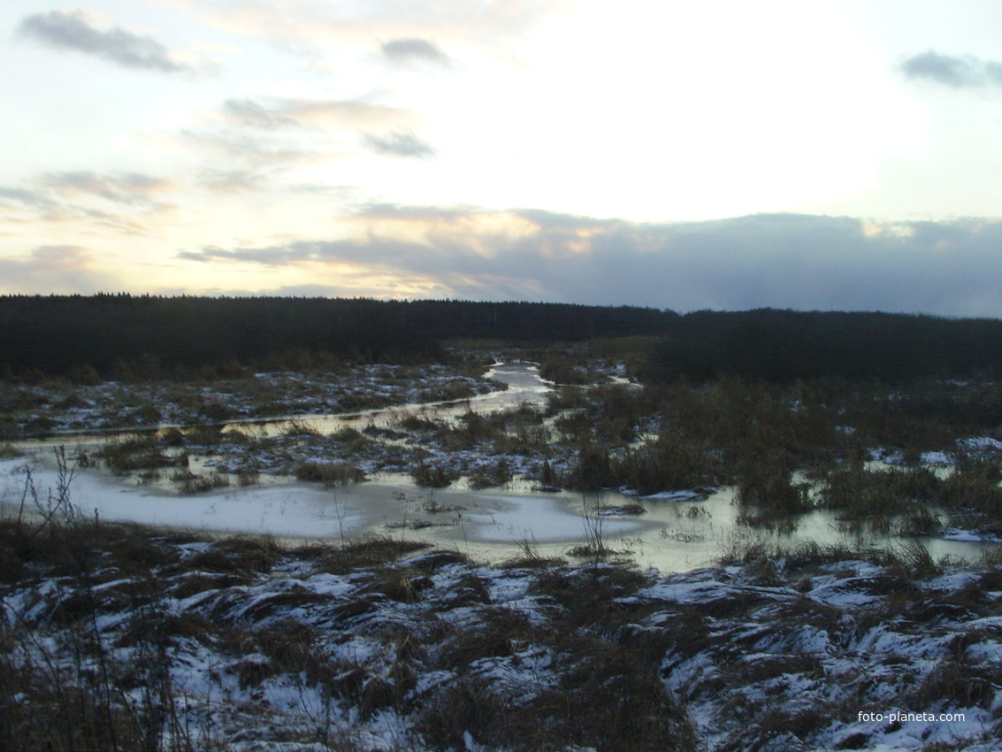 Река Ялма (слева) в месте впадения в неё ручья в 1,5 км к З-Ю-З от д. Пронино