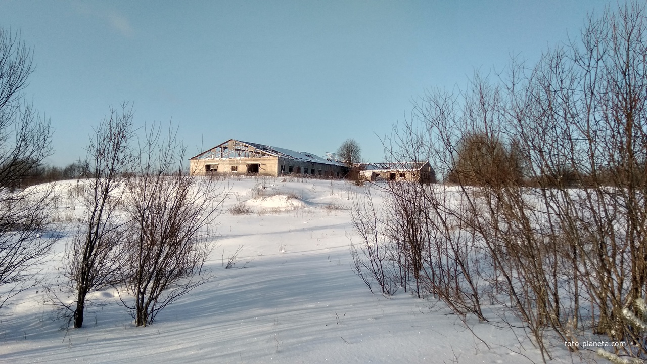 заброшенная ферма в д. Демьяновская