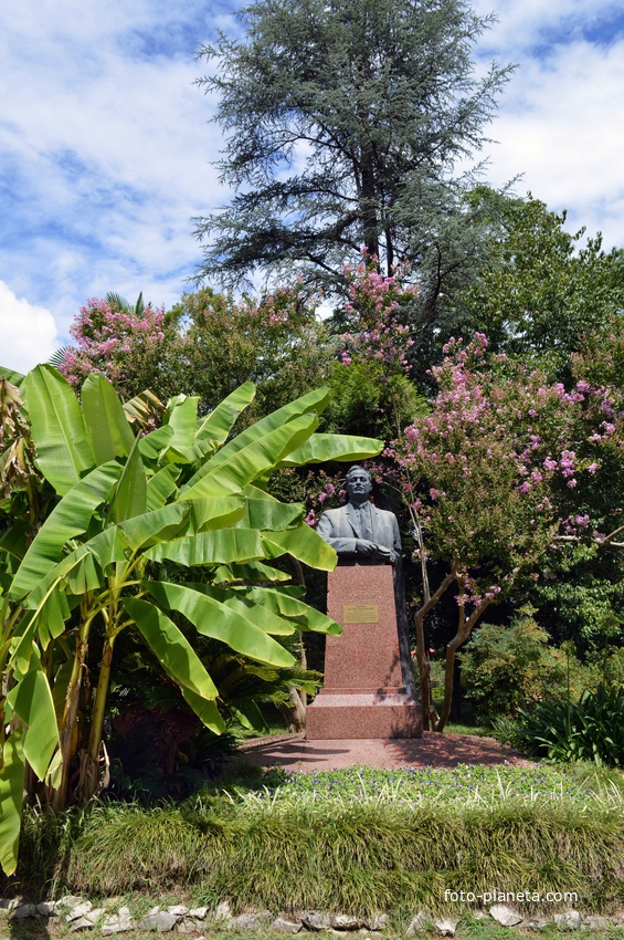 Сухум. Ботанический сад. Памятник Н Лакобо