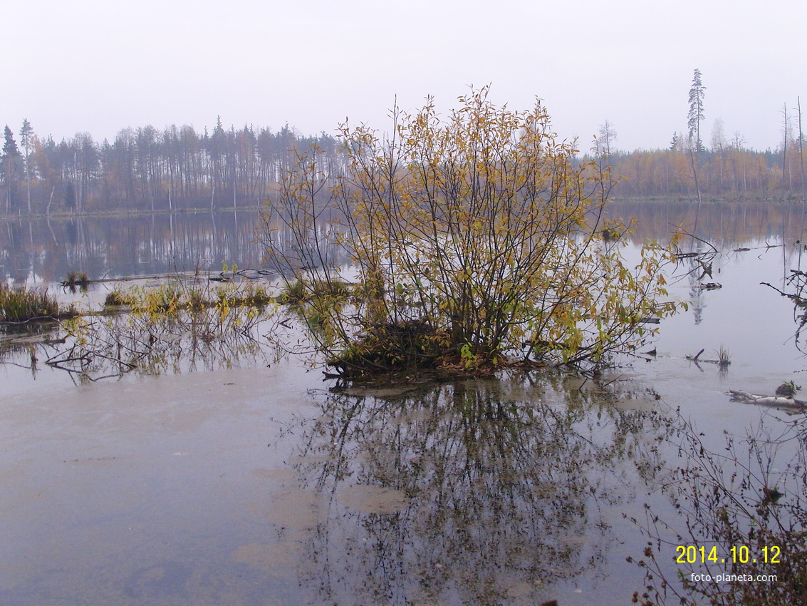 Озеро Смердячье северо-западнее Бакшеево