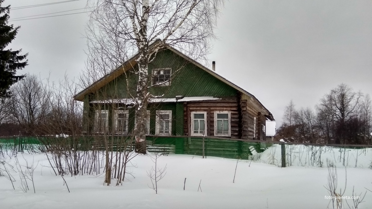 дом в д. Демидовская