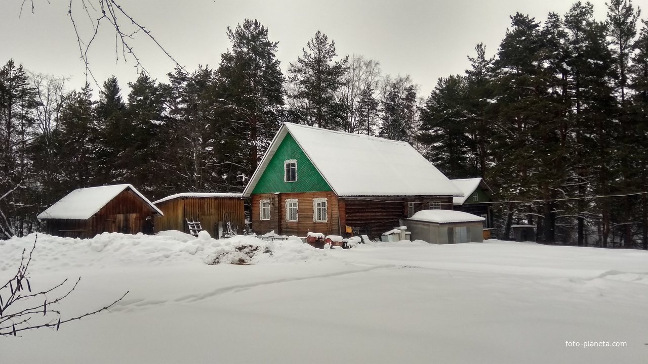 дом в д. Игумновская