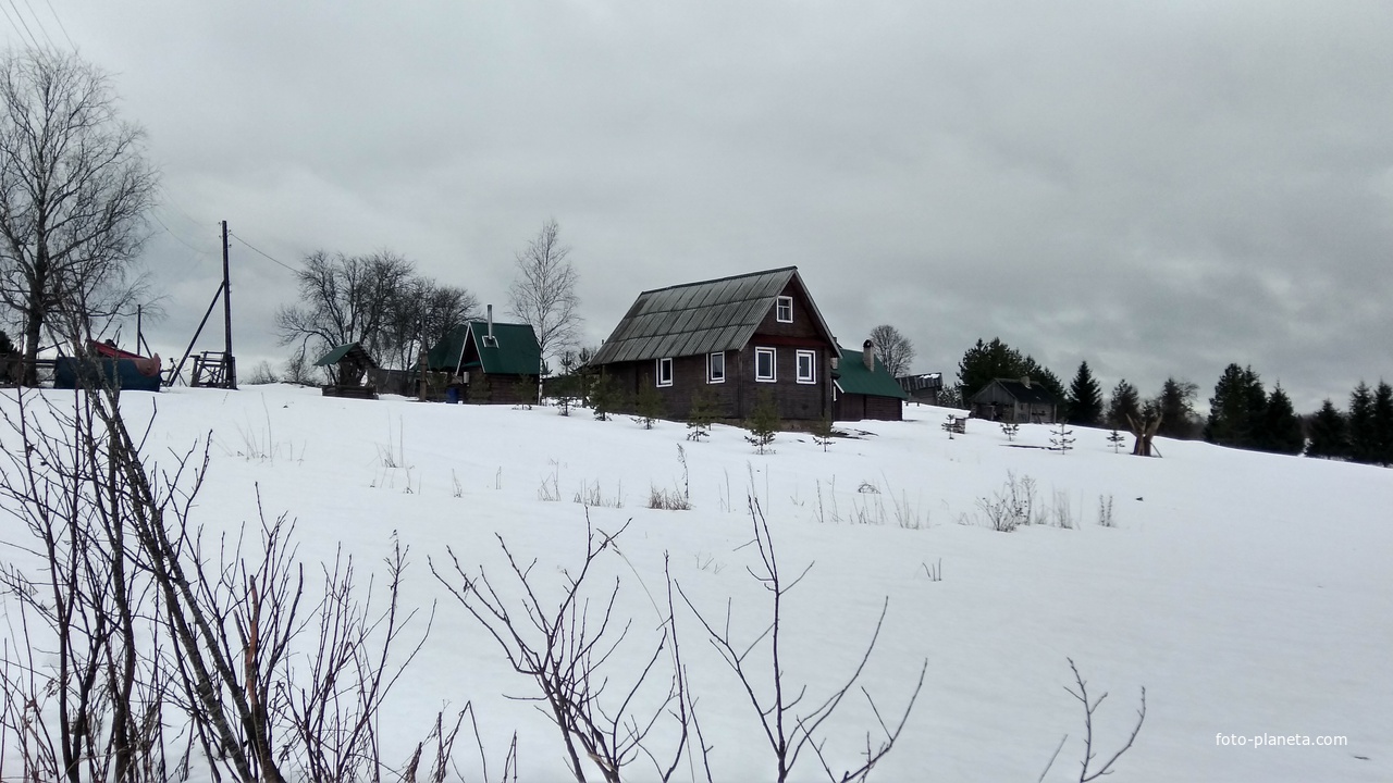 панорама д. Петухово