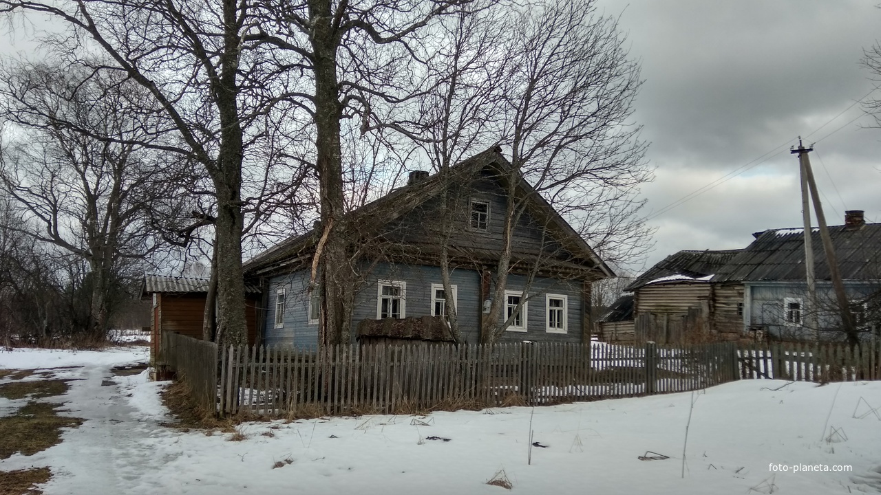 дом в д. Дряблое