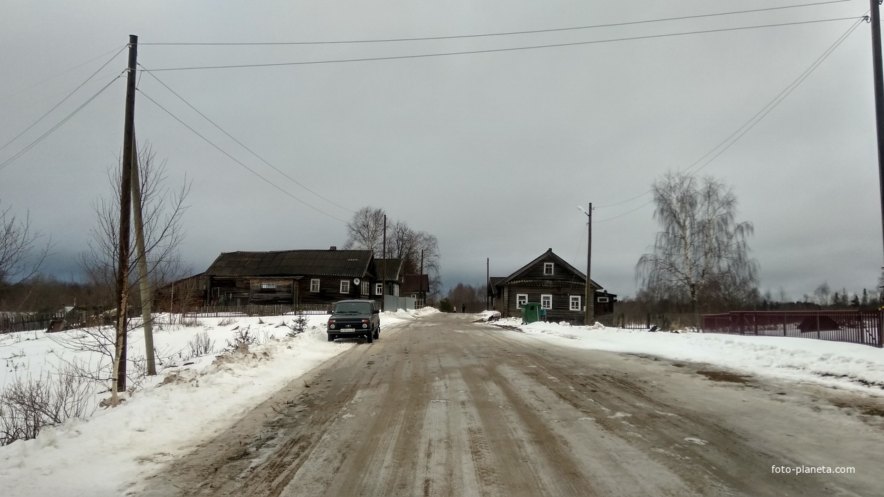 улица в д. Ушаково