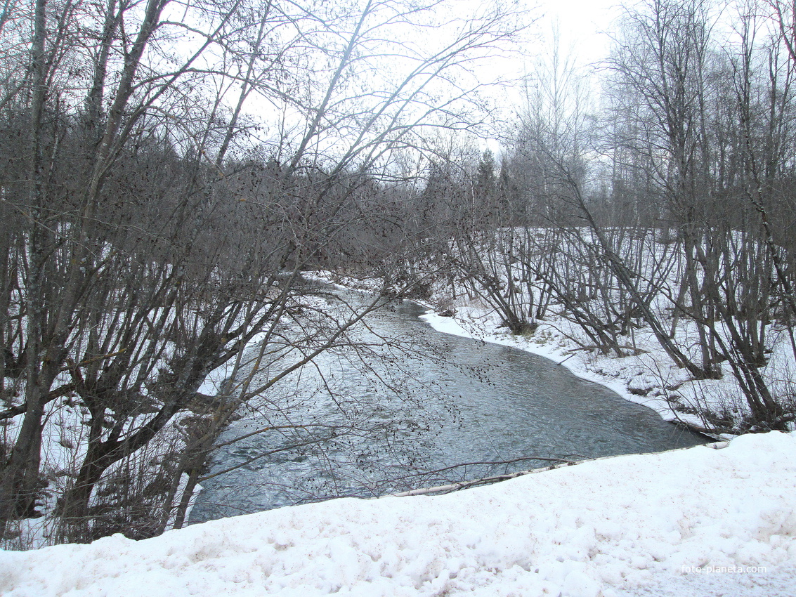 Река Сара у Заречного.