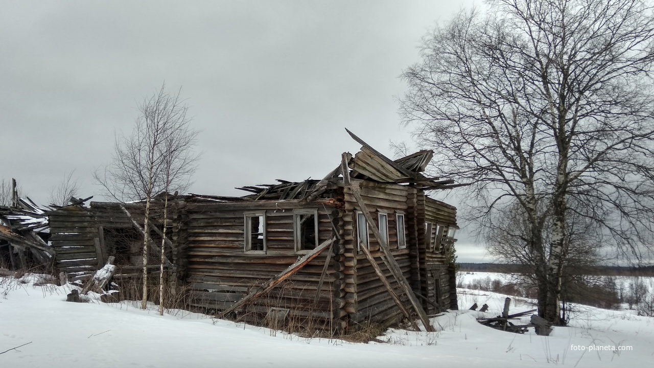 дом в д. Плешавка