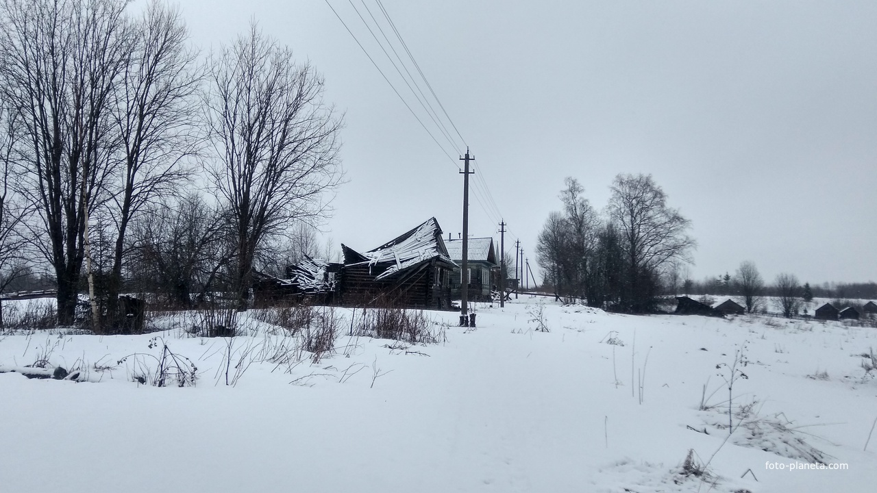 улица в д. Андреевская