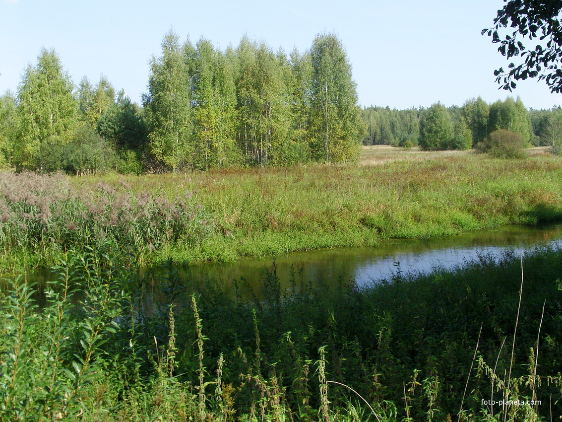 Река Цна у села Жабки Егорьевского района