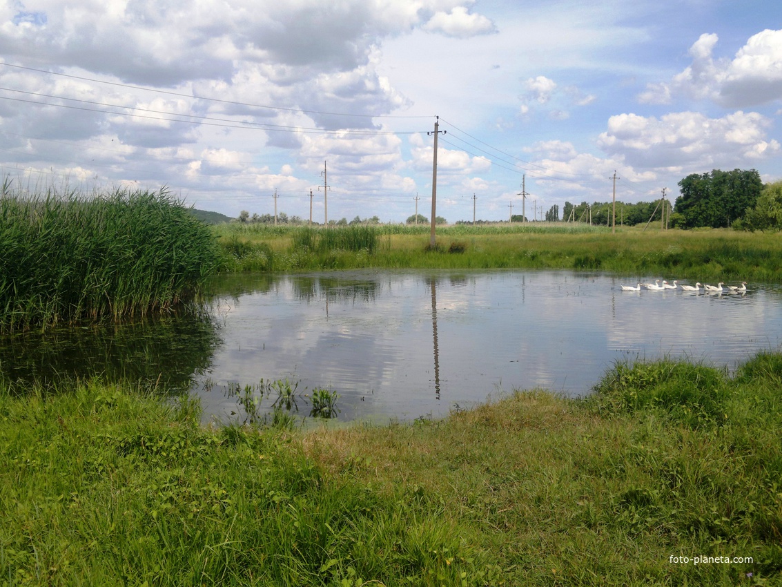 Река Великий Куяльник летом.