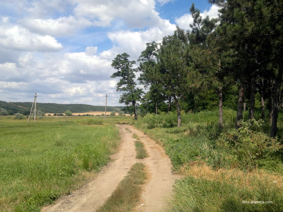 Просёлочная дорога вдоль реки Большой Куяльник.