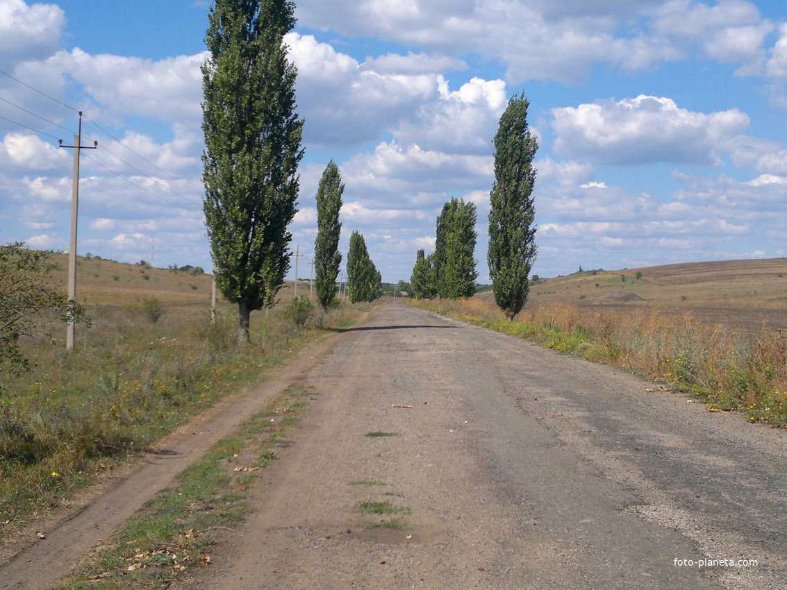 Дорога в село со стороны трассы Т-1614.
