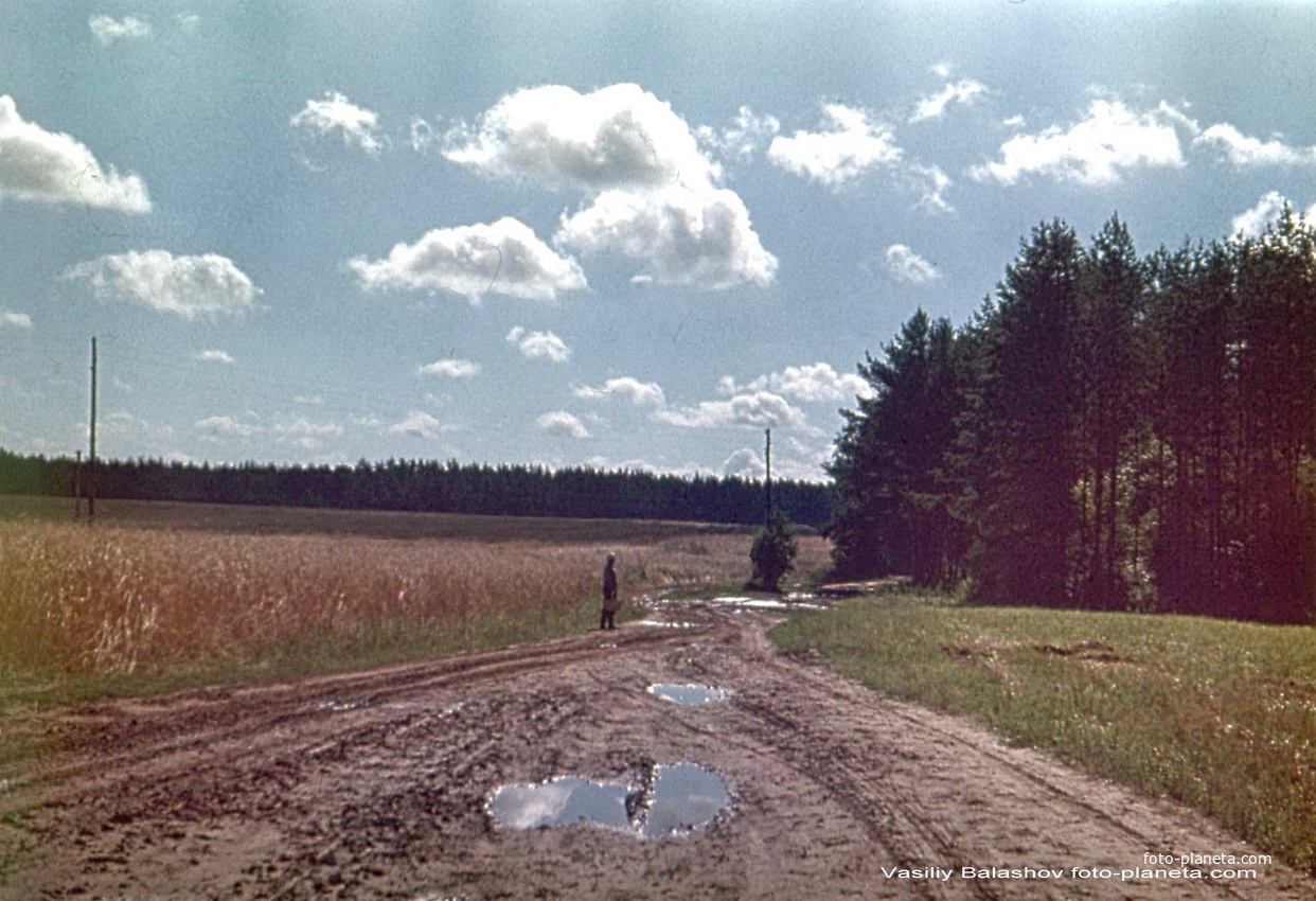 Старая дорога к Рощину, 1974 г.