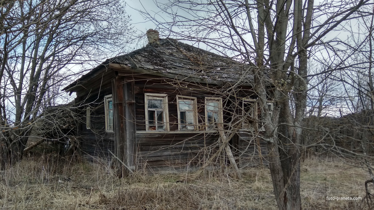 дом в д. Лопотово