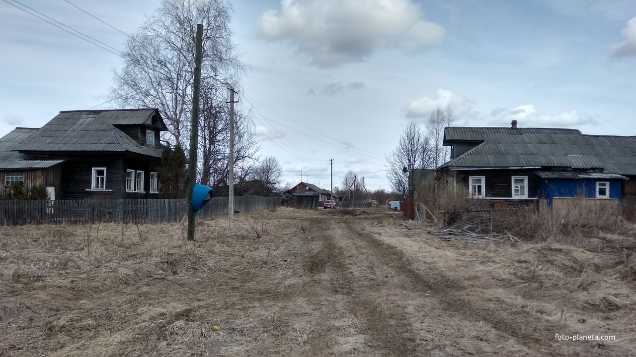 улица в д. Матвейцево