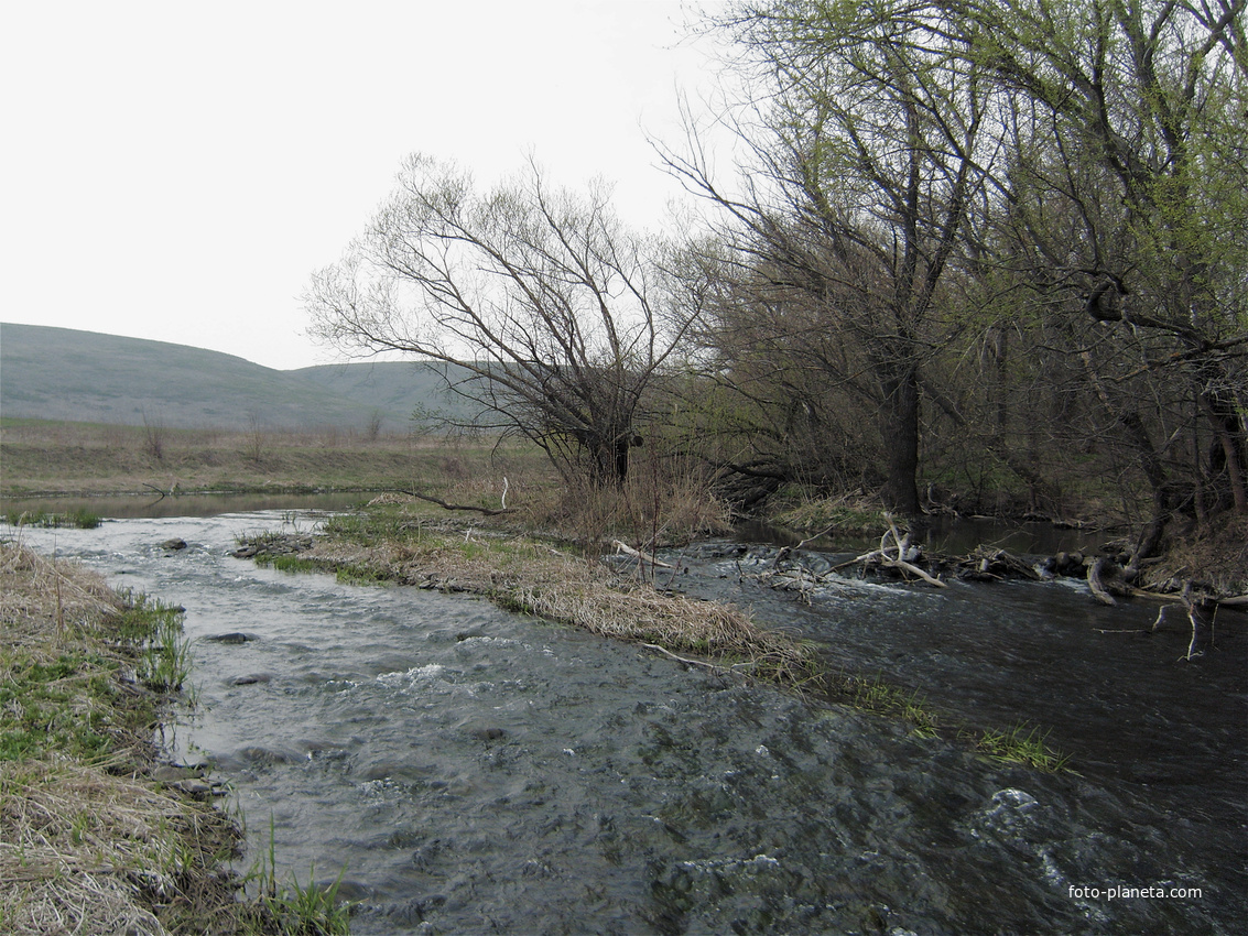 р. Большая Каменка.