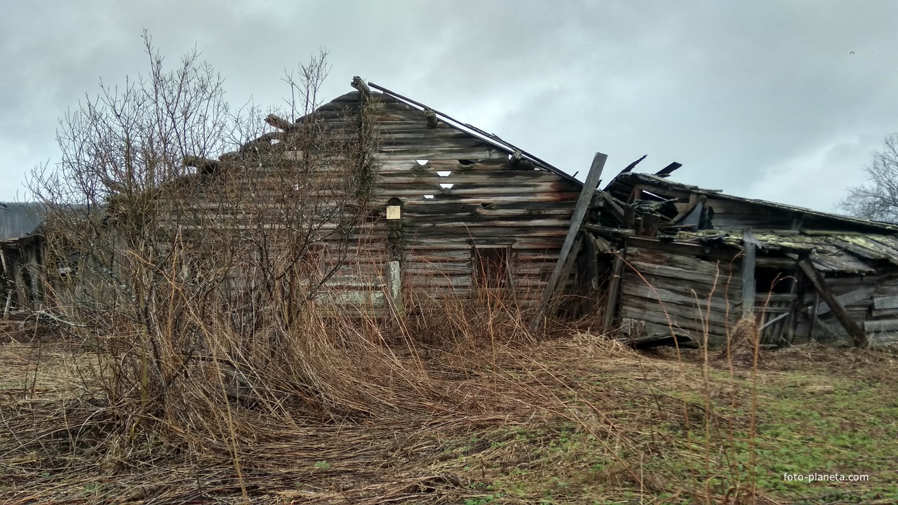разрушенный дом в д. Марачевская