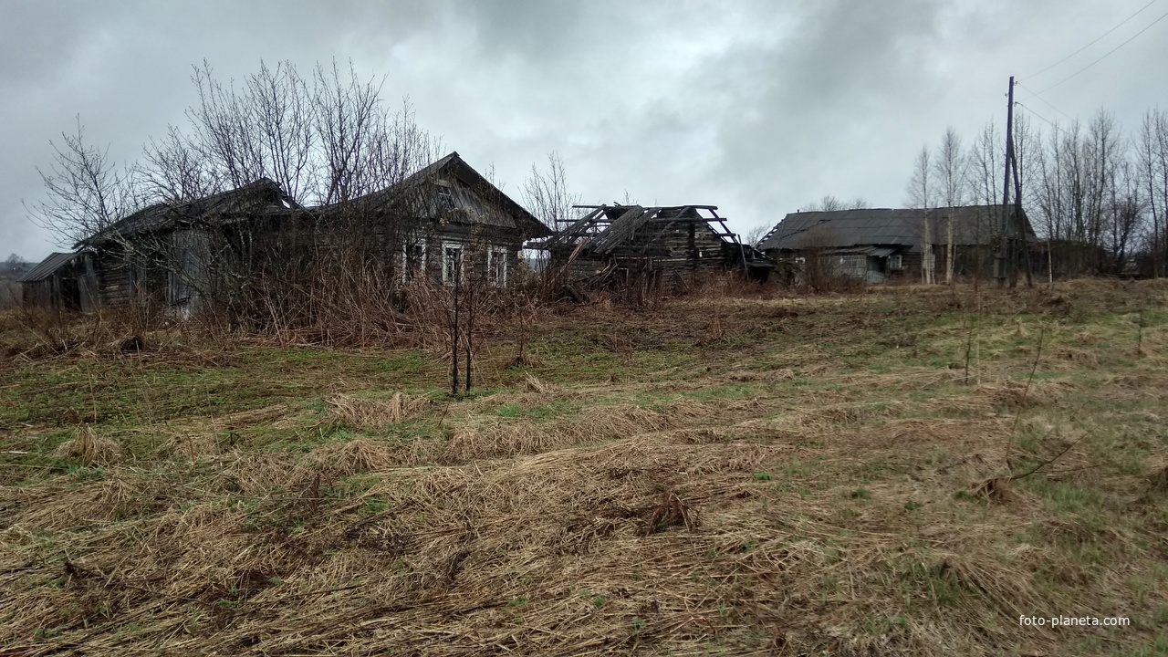 дома в д. Марачевская