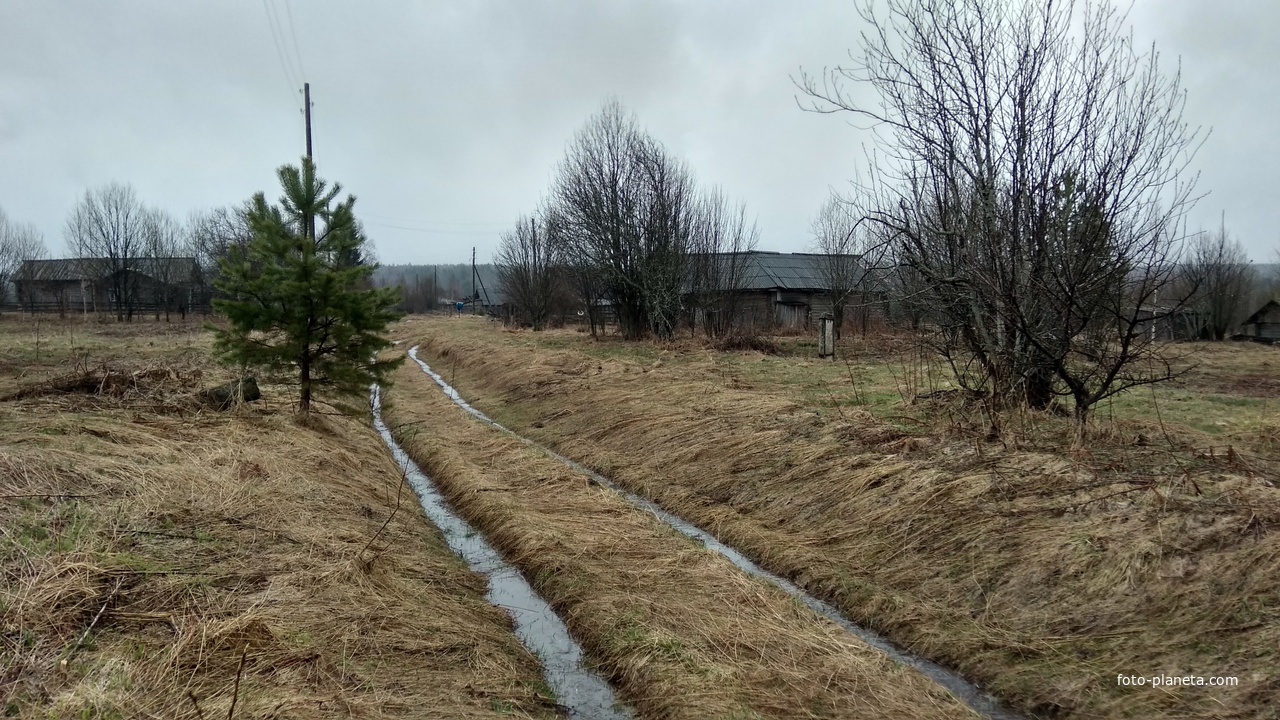 улица в д. Марачевская