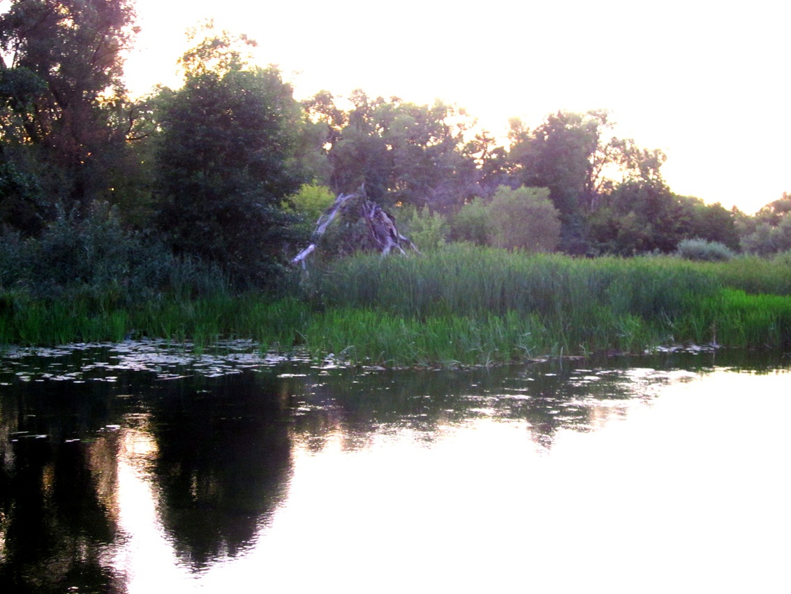 Река Елань у Подосиновик.