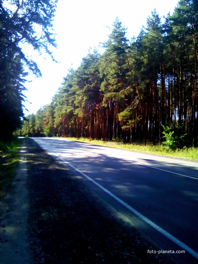 Трасса р298 вблизи Красовки.