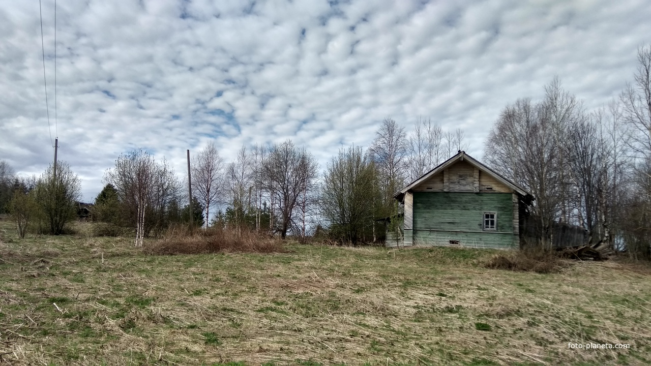 дом в д. Давыдовская.