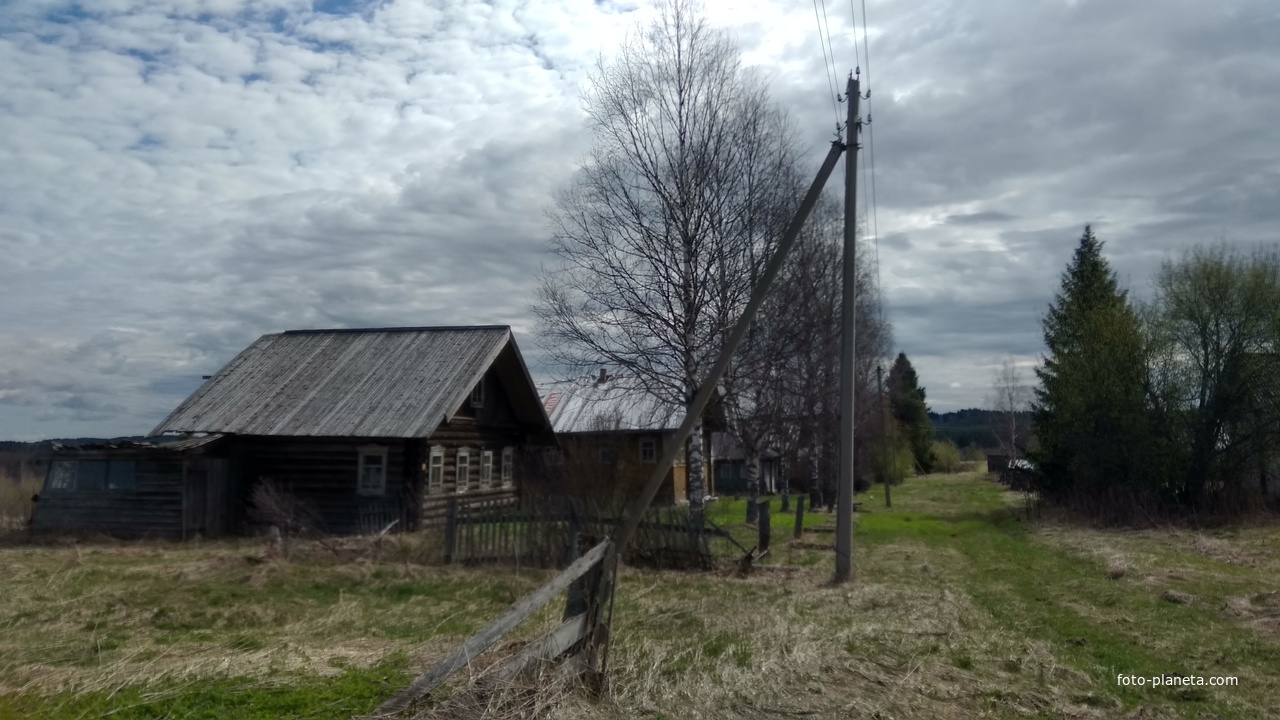 улица в д. Яфановская. май 2020 г.