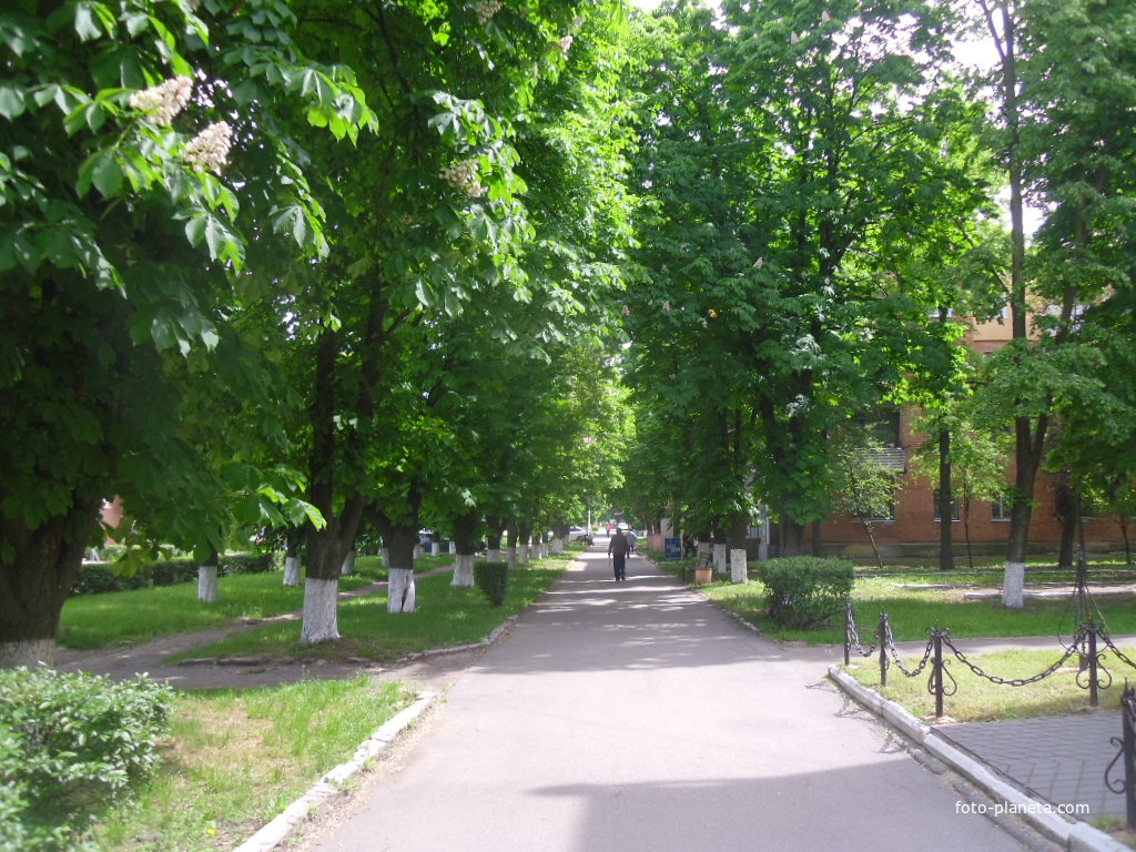 Малая Виска