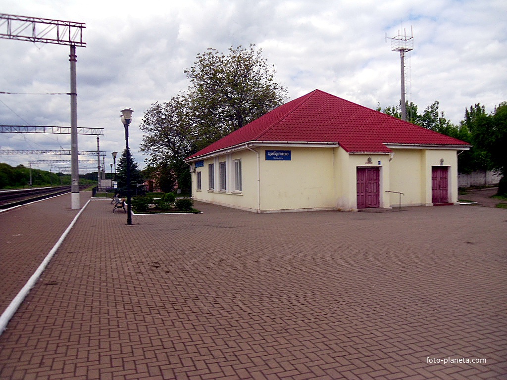 Станция Цыбулёво,село Михайловка.