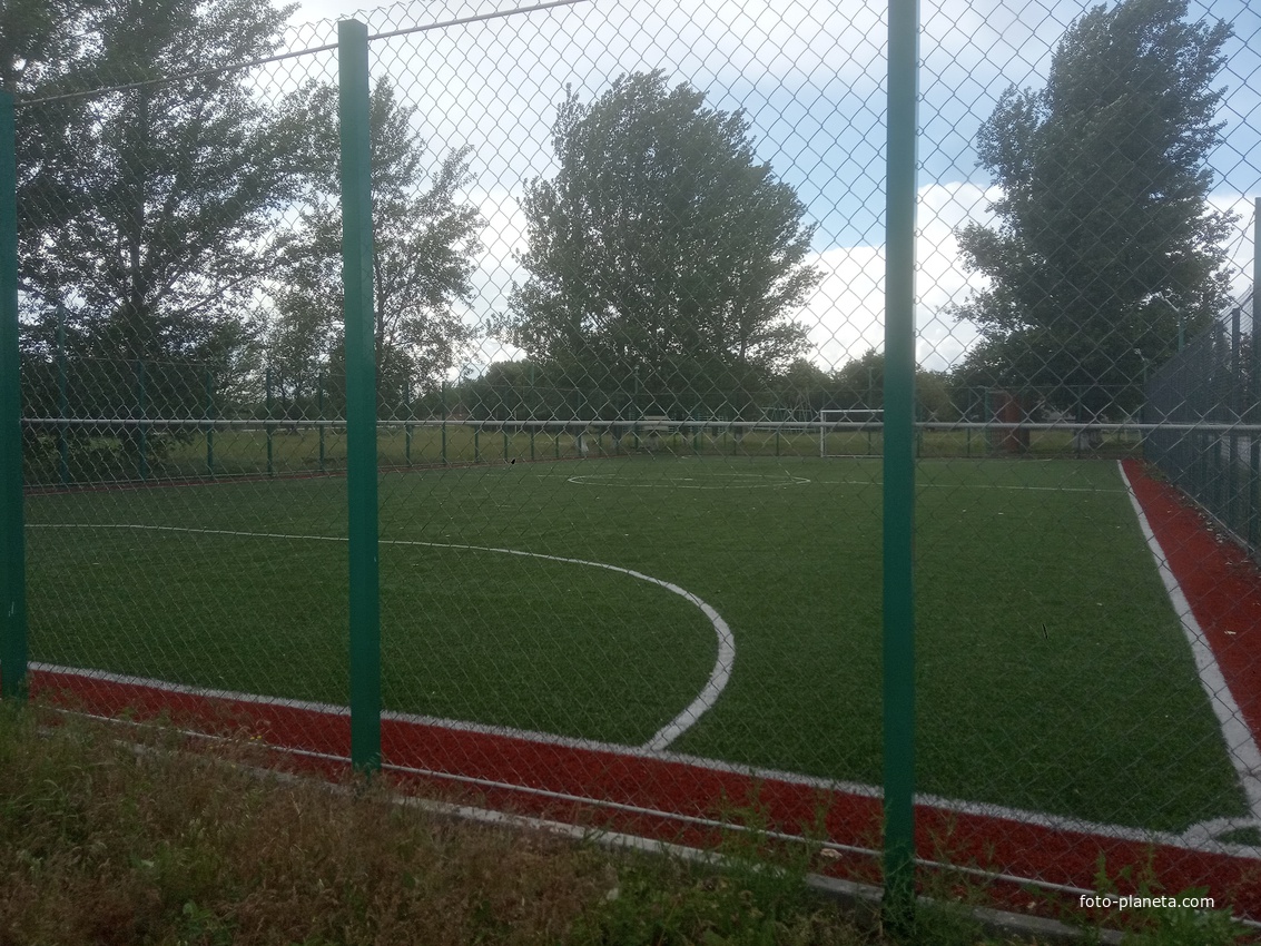 Спортивная площадка в школе.