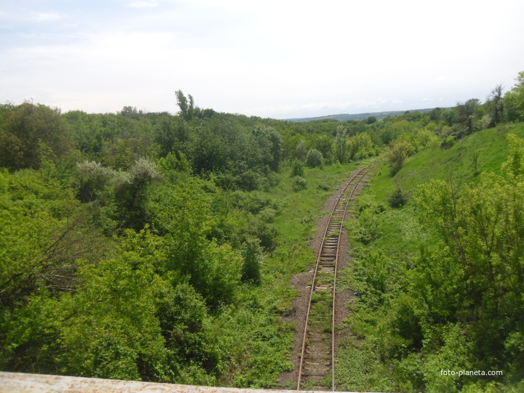 Железнодорожный участок ст.Богачево(г. Ватутино) — Дашуковка