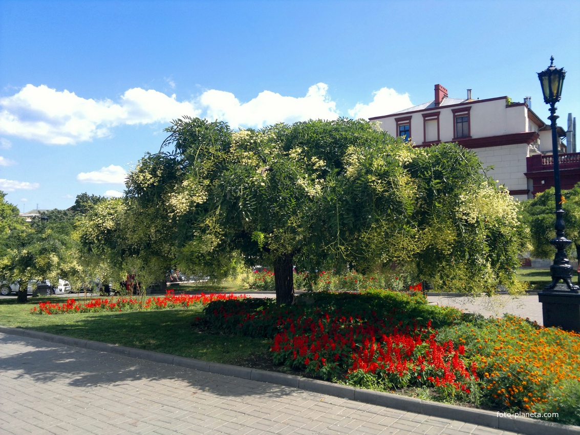 Сквер Театральной площади.